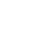 letronik-instagram-icon
